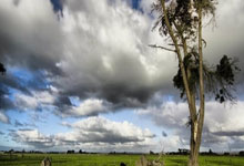 马威24+12三球20分 奇才8人上双赛季横扫黄蜂.