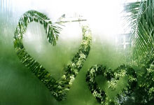 辉达娱乐官网:德约科维奇晋级迈阿密赛四强,成为最年长大师赛四强选手.