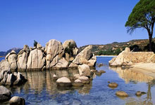 高清:利雅得胜利3-1取胜 C罗破门握拳庆祝.